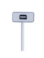 2B (CV167) Type C to Mini Display Port Connector - Image 2