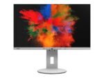 Fujitsu USED Frameless IPS Monitor P24-9 TE\with (hdmi-type c-displayport "in & out")\FHD (1920*1080)\IR SENSOR\WHITE