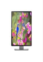 Dell P2314HT USED Monitor FHD (1920 x 1080)/DP,DVI,VGA/60 Hz/ips - Image 5
