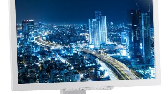 Fujitsu B22-8 WE Neo USED Monitor\DP,DVI,VGA\22"HD(1680x1050)\16:10\WHITE