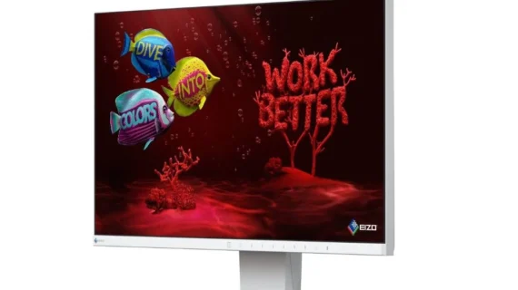 EIZO FlexScan EV2450 24" IPS 1920x1080 LED (HDMI-DP-VGA-DVI)\USED MONITOR \ WHITE