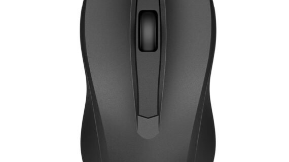 HP (MO096) Wired Mouse 100 - Black